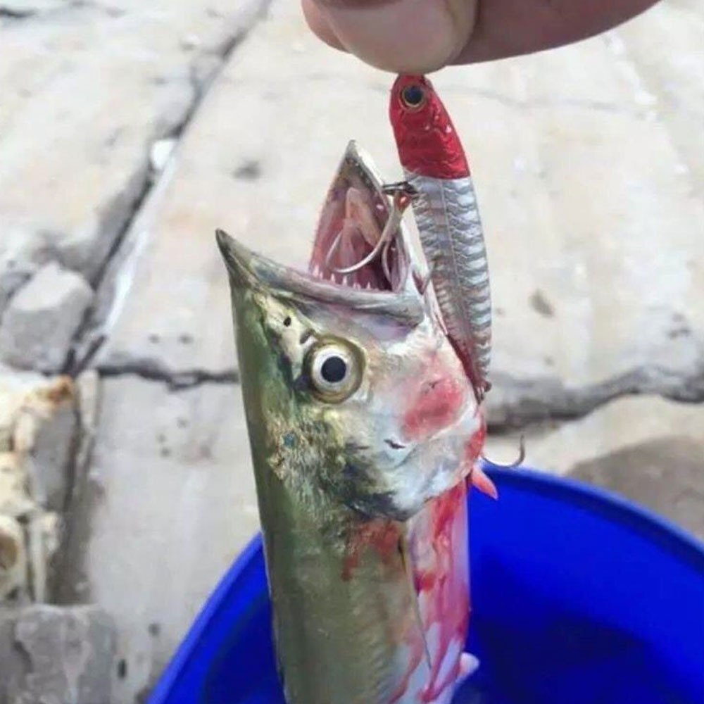 Como 100 pçs ganchos agudos 4x - Fishing Hook Assortment avaliação e preço